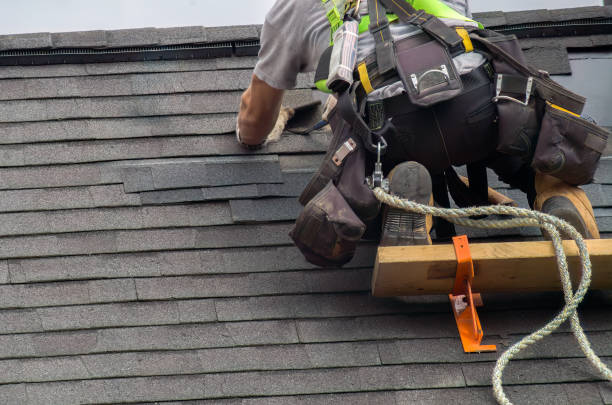 Best Roof Gutter Cleaning  in Lambert, MS